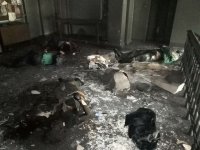 ������ - ��� ������� ������