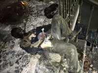 ������ - ��� ������� ������