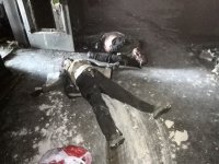 ������ - ��� ������� ������