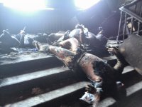 ������ - ��� ������� ������